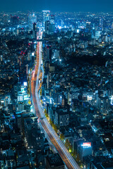 Fototapeta premium 日本 東京都港区の六本木ヒルズの展望台から眺める東京の夜景
