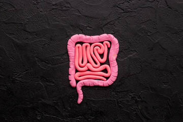 Stomach or intestines colon organ problems. Bowel disease concept. Human internal organs intestines...
