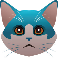 Confused face of the cat
