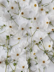 Fototapeta premium Chamomile daisy flowers stems pattern on white background. Abstract nature, floral texture