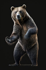 Fototapeta premium brown bear portrait