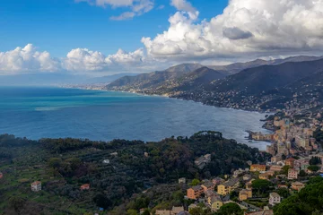 Foto op Canvas Over view of Camogli and Ligurian riviera, province of Genoa, Italy © faber121