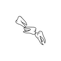 vector illustration of three human teeth concept