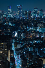 Fototapeta na wymiar 日本　東京都渋谷区の恵比寿ガーデンプレイスタワーのスカイラウンジから眺める東京の夜景