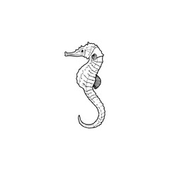 vector illustration of a seahorse © ahmad yusup