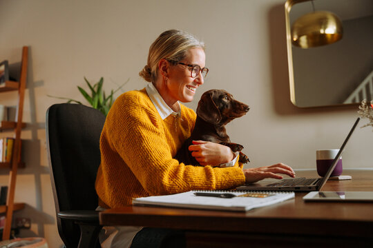 Caucasian female free lance worker working from home holding pet dog on her lap