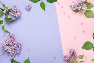 White and pink background with lilac flowers.