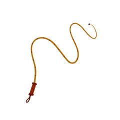 Whip for training an animal. Long cord.