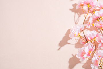 Naklejka na ściany i meble 春の桜とフリースペース