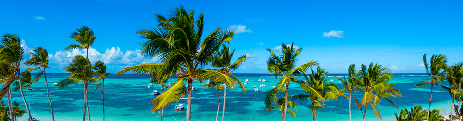 Fototapeta na wymiar Panorama of turquoise Caribbean sea and clear blue sky through green coconut palm trees. Vacations on the best beach in the world