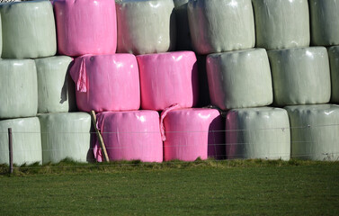 Silageballen in Folie