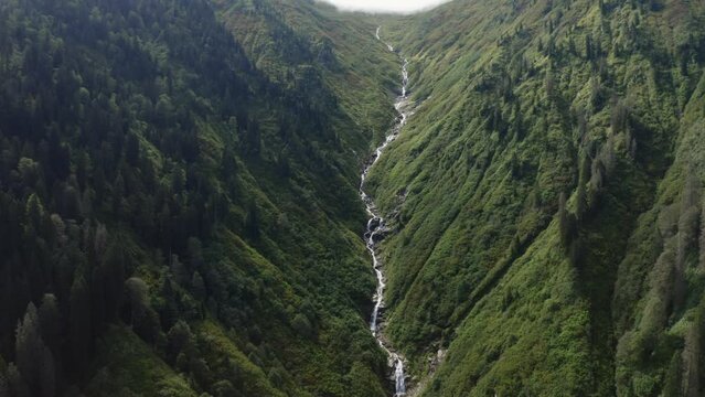 Aerial view of Forest in Rize. 4K Footage in Turkey