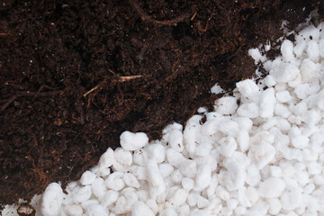 soil and Perlite for plants. neutral material of volcanic origin
