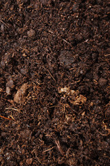 fertile soil for planting and growing plants. 