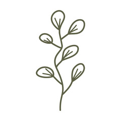 Hand drawn floral plant element, botanical leaves art in a glyph illustration design