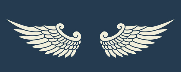 Vector angel wings design