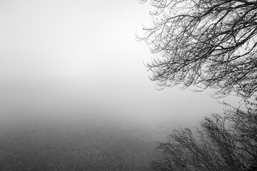 Autumn landscape by the lake. Nature with fog in the morning.
