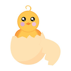 Chicken sits in an eggshell