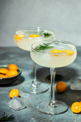 Gin and tonic cocktail with kumquat ice. refreshing soda. vertical image. top view. place for text