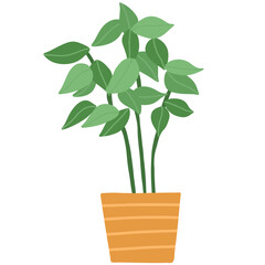 Plant Pot hand drawn