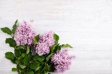 Lilac branches on a white wooden background. Spring background mock up, lilac flowers. Top view, copy space. 