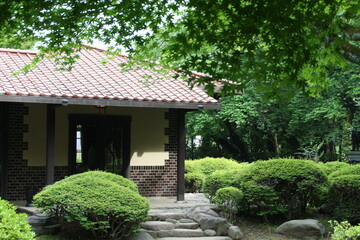 a house in woods