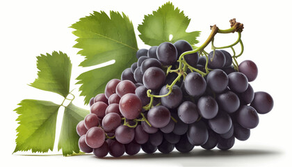 Fototapeta premium A bunch of grapes photoreal illustration on white background can easily be isolated vector