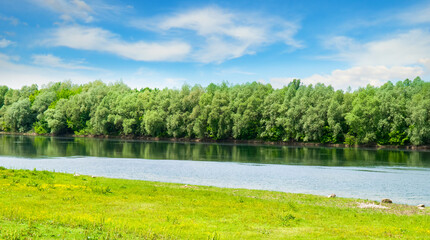 River with forest and meadow on the bank. Wide photo.