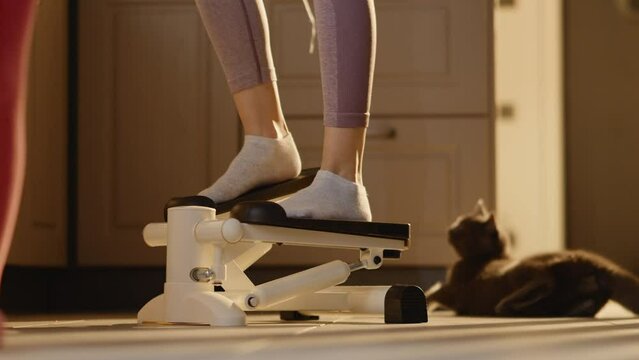 Jiggish cat plays next to slim woman legs on a stepper,small kids legs near.Family alltogether,funny moment with playful pet,daughter tracks mother,parent as an example for child,healthy lifestyle. 4k