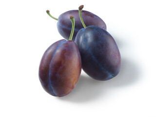 Drei Pflaumen auf weissem Fond als Freisteller