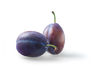 Zwei Ganze Pflaumen auf weissem Fond als Freisteller
