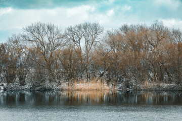 Winter landscape with frozen pond covered with snow. Central european countryside. Christmas winter concept
