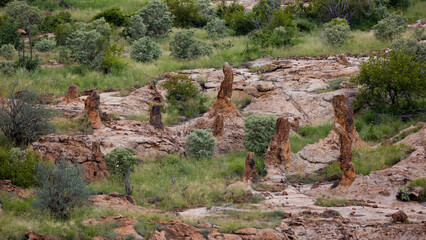 the rocky pillars in Mapungubwe