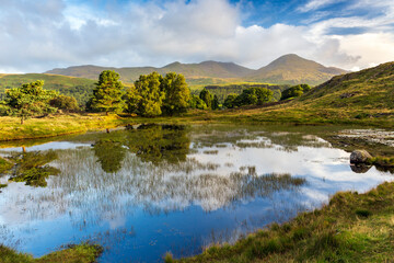 A beautiful summer morning at  Kelly Hall Tarn near Torver in the Lake District National Park, with the Old Man of Coniston in the distance. 