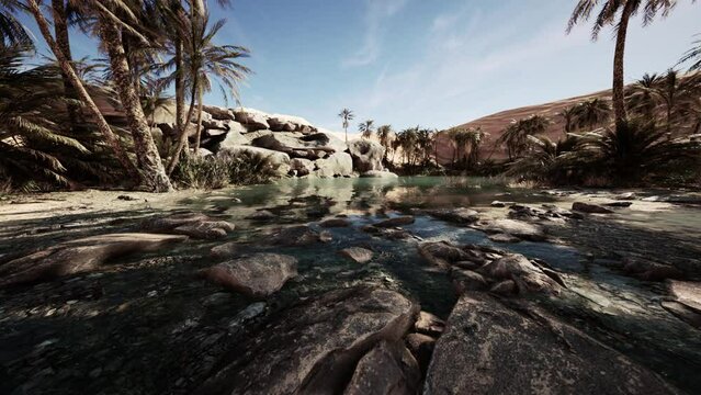 An desert oasis in the Oman