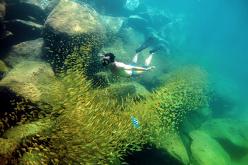 Man snorkeling underwater surrounded by fishes, Fernando de Noronha. Brazil