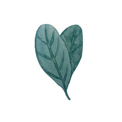 Watercolor designer elements set collection of green leaves, greenery art foliage natural leaves herbs in watercolor style. Decorative beauty elegant illustration for design