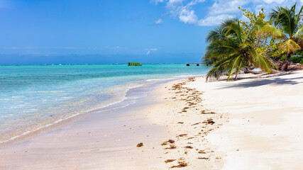 Carribean Islands Ocean Tropical Beach.