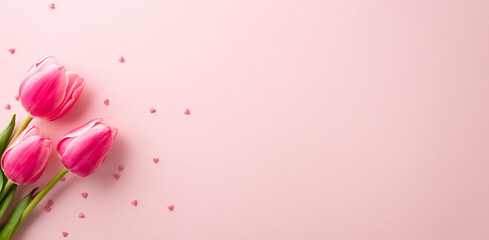 8 march celebration concept. Top view photo of spring flowers tulips and heart shaped sprinkles on isolated pastel pink background with copyspace