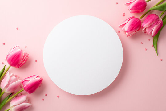 8-march concept. Top view photo of empty white circle bunches of pink tulips and sprinkles on isolated pastel pink background with copyspace