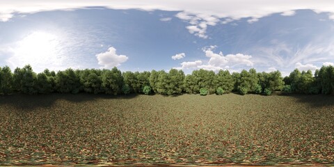 360 degree panorama of the forest, meadow in the middle of the trees, VR, 3D illustration, cg render
 - obrazy, fototapety, plakaty
