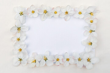 Obraz na płótnie Canvas cute graceful fragile delicate spring apple flowers with space for design