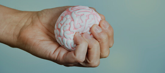 squeezing a fake brain, web banner format