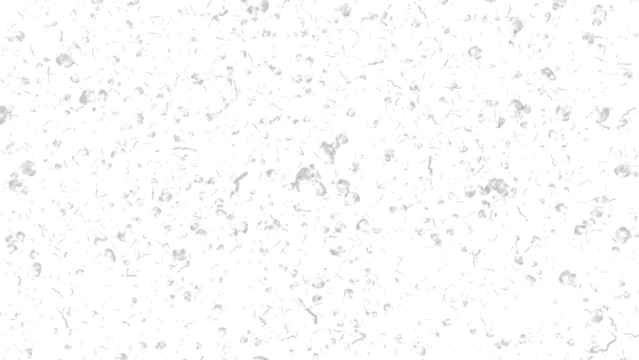 White ash or dust particles, flying and floating on air , overlay a black background with an alpha channel in this still shot.
