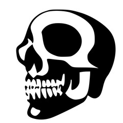 skull icon