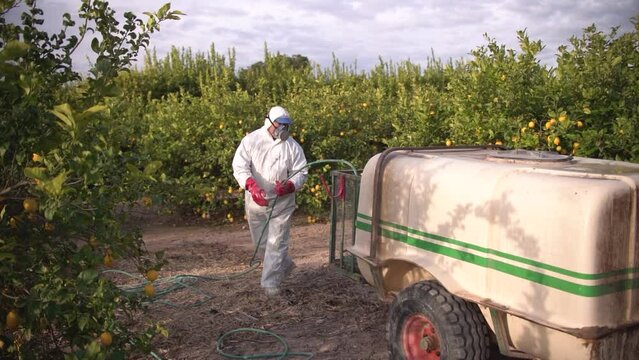 Tractor spraying pesticide drone aerial view, pesticides or insecticide spray on lettuce or iceberg field. Pesticides and insecticides on agricultural field in Spain