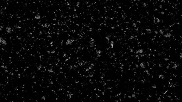 White ash or dust particles, flying and floating on air in a loop, overlay a black background with an alpha channel in this still shot.