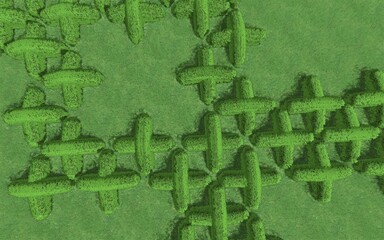 3D illustration of modern landscape architecture. Modular garden with clipped borders in the form of crosses. Background computer rendering of landscape design.