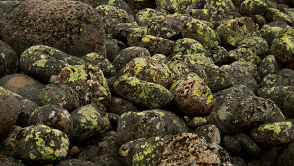 Fototapeta na wymiar round stones on the seashore, overgrown with moss
