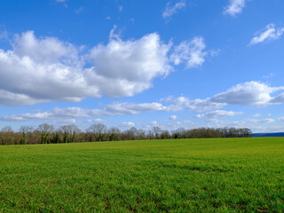 Fototapeta na wymiar A field with a beautiful blue sky in Pierrefonds, France